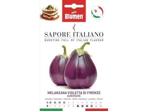 [90131742 848203] Blumen Samen Aubergine Violetta di Firenze