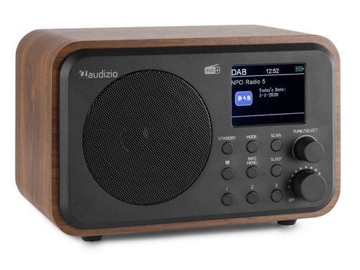 [90131851 1114569] Audizio DAB+ Radio Milan Braun