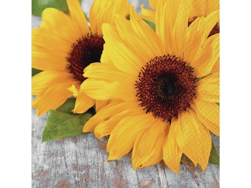 [90013480 701108] Stewo Papierservietten Isadora 33 cm x 33 cm, 20 Stück, Gelb