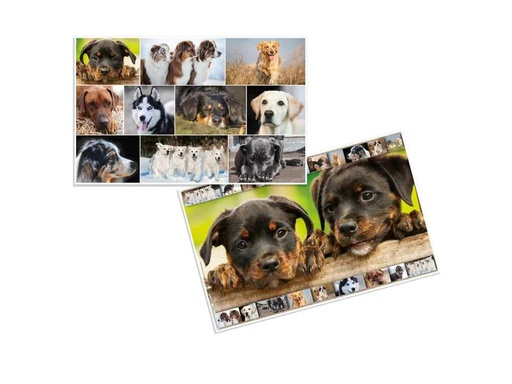 [90135797 1058952] HERMA Schreibunterlage Hunde 55 x 35 cm