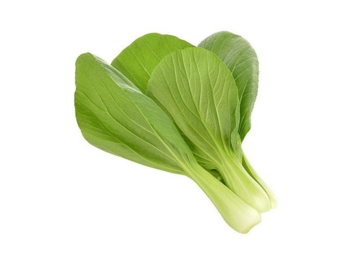 [90136046 996917] Click and Grow Samen Pak Choi