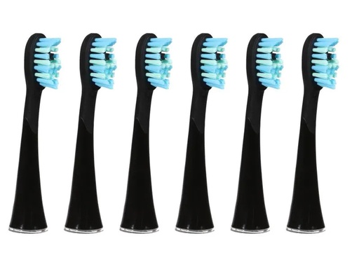 [90139638 1110839] Ailoria Zahnbürstenkopf Shine Bright Extra Clean Schwarz, 6 Stück
