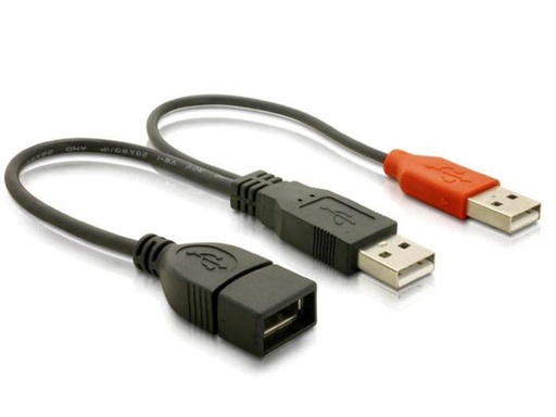 [90013999 116195] Delock USB 2.0-Y-Kabel  USB A - USB A 0.22 m