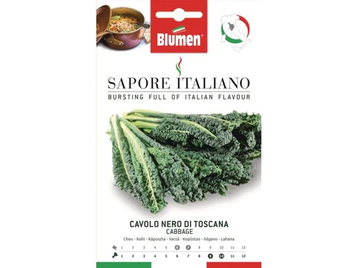 [90014232 848197] Blumen Samen Kohl Nero di Toscana