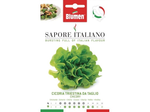 [90142910 848200] Blumen Samen Zichorie Triestina da Taglio