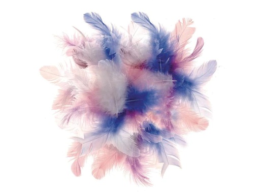[90143313 628800] Glorex Federn Deco Blau/Pink/Weiss