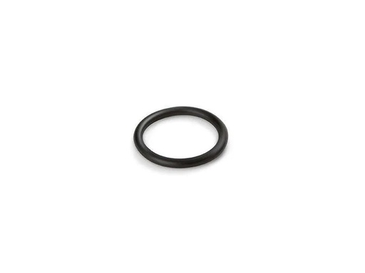 [90143829 786087] Intex Ersatzteil Dichtungsring für Filterpumpen