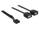 Delock USB2.0 Pinheaderkabel 2x USB2.0 40 cm