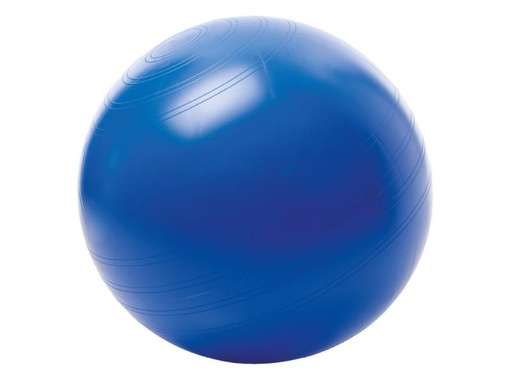 [90147957 399335] TOGU Sitzball ABS