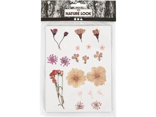 [90149299 1140065] Creativ Company Trockenblumen Gepresste Blüten 20 farbig sortiert