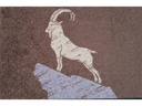 wash+dry Fussmatte Steinbock, Braun, 50 cm x 75 cm