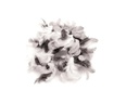 Glorex Federn Deco Schwarz/Weiss
