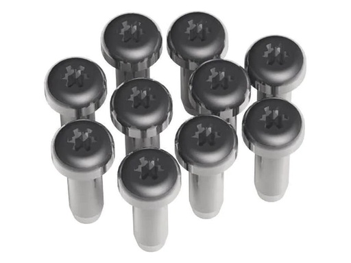 [90152558 354354] Bachmann Schrauben Torx T6 für Custommodule