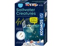 Kosmos Experimentierkasten Saltwater Creatures