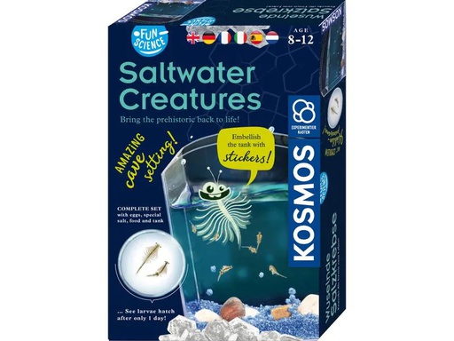 [90155368 880486] Kosmos Experimentierkasten Saltwater Creatures