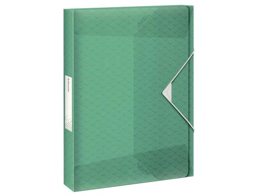 [90157237 738945] Esselte Gummibandmappe COLOUR‘ICE 40 mm Grün