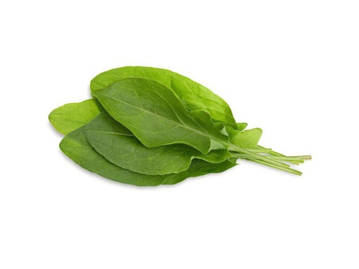 [90158946 996914] Click and Grow Samen Sauerampfer