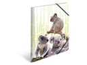 HERMA Gummibandmappe Koala A4, Mehrfarbig