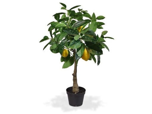 [90018454 1179272] Botanic-Haus Kunstpflanze Zitronenbaum, 70 cm