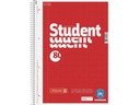 Brunnen Collegeblock A4 Recycling A4, Kariert, 80 Blatt