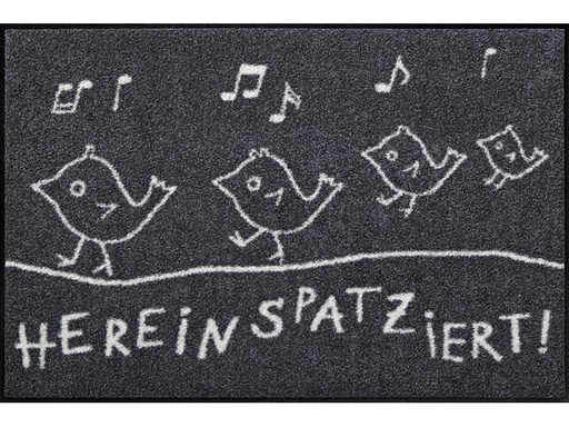 [90019145 1108288] Salonlöwe Fussmatte Hereinspatziert 50 cm x 75 cm