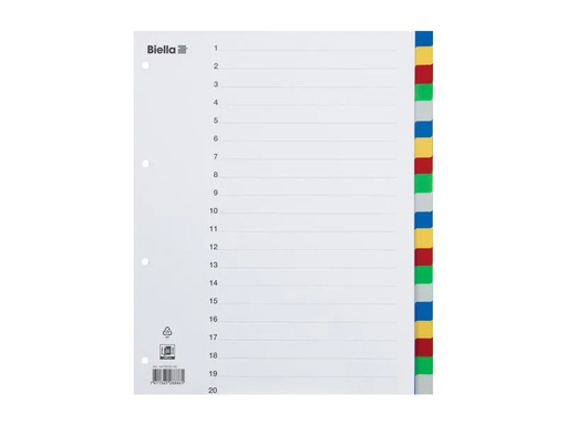 [90019533 555784] Biella Register A4 20-teilig für Zeigetaschen, Mehrfarbig