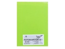 Folia Fotokarton A4, 300 g/m², 50 Blatt, Maigrün