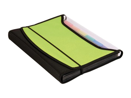 [90020326 1208538] dufco Fächermappe A4 Soft Touch 13 Fächer, Hellgrün