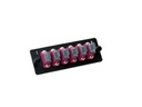 Lightwin Frontplatte MTPC 6MTP OM4 magenta