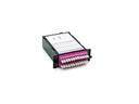 Lightwin MTP-Kassette MTPC MTPFE-12LCD OM4