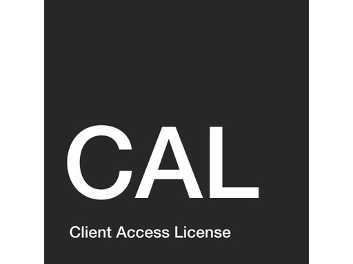 [90168077 165709] Microsoft Windows Server Device CAL Open Value