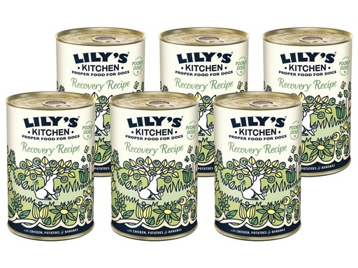 [90169291 1211919] Lily's Kitchen Nassfutter Recovery Recipe, 6 x 400 g