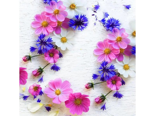 [90171267 1215184] Paper + Design Papierservietten Summer Florals 33 cm x 33 cm, 20 Stück