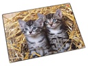 Läufer Schreibunterlage Katzen im Stroh 40 x 53 cm, 1 Stück