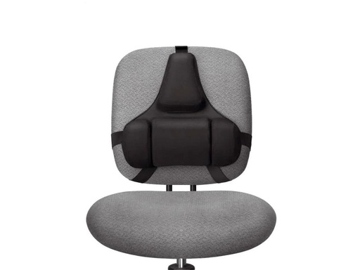 [90024999 80909] Fellowes Rückenstütze Professional