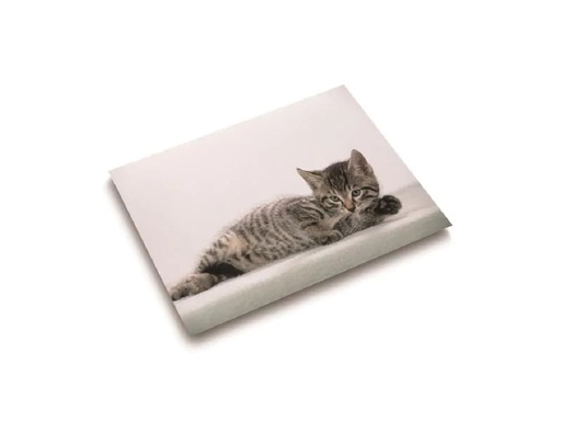 [90178044 1238993] Läufer Schreibunterlage Katze 40 x 53 cm, 1 Stück