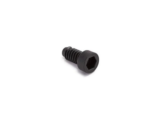 [90026434 1025716] Intex Ersatzteil Schraube für Bedienfeld