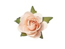 HobbyFun Streudeko Rosen 20 Stück, Aprikose