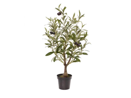 [90184444 1037246] Botanic-Haus Kunstpflanze Olivenbaum, 60 cm