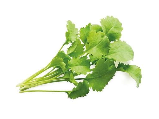 [90185540 709878] Click and Grow Samen Kresse Nachfüllpackung 3er-Set