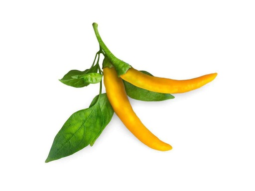 [90185746 996927] Click and Grow Samen Gelber Chili