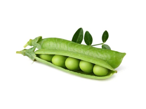 [90185774 996912] Click and Grow Samen Zwergerbsen