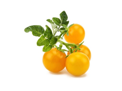 [90186309 996929] Click and Grow Samen Gelbe Cherrytomaten