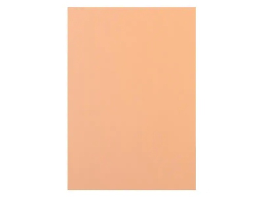 [90187217 1252471] Rainbow Kopierpapier Rainbow 120 g/m² A4, Lachs