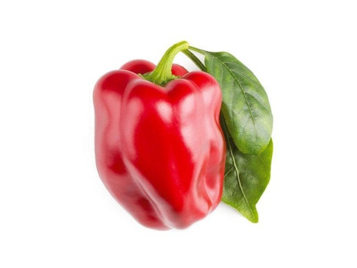 [90187720 996924] Click and Grow Samen Rote Peperoni