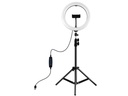 Puluz Videoleuchte Bi-Color Stativ 26 cm
