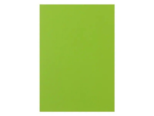 [90189090 1252501] Rainbow Kopierpapier Rainbow 160 g/m² A4, Leuchtend Grün