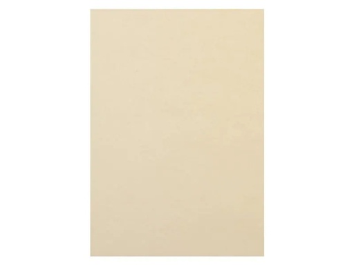 [90189907 1252466] Rainbow Kopierpapier Rainbow 120 g/m² A4, Hellchamois