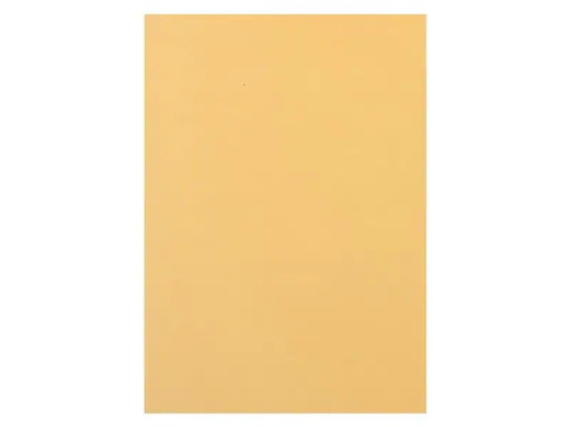 [90190101 1252467] Rainbow Kopierpapier Rainbow 120 g/m² A4, Chamois