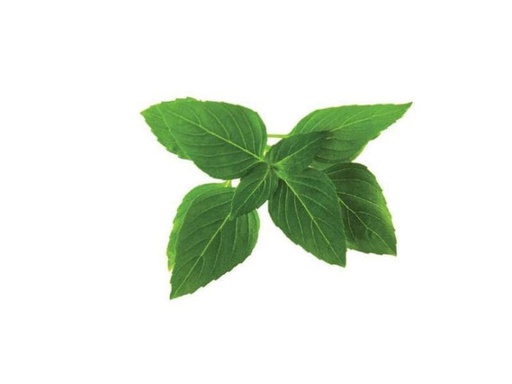 [90193729 709873] Click and Grow Samen Thai Basilikum Nachfüllpackung 3er-Set